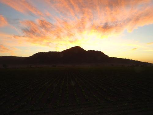 1 cerro coamilesok