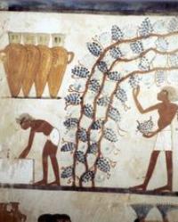 1212-ancient-wine.jpg