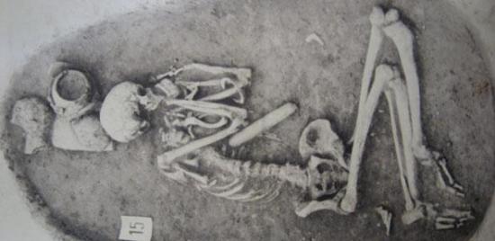 140331 bones and early farming alisonmacintosh