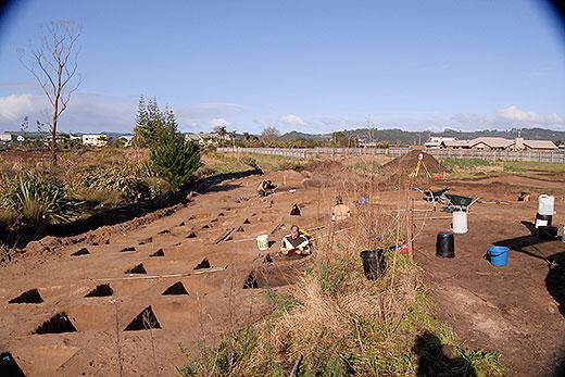 140808 whitianga archaeology find 001