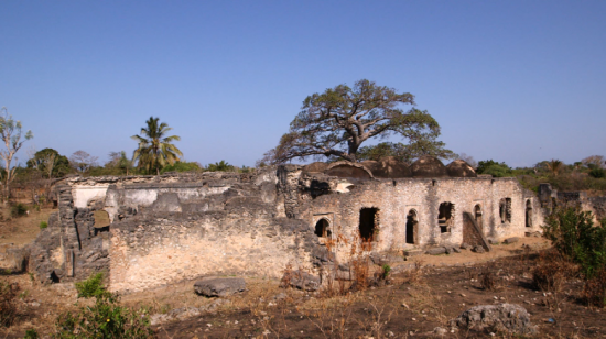 151006142403 the ruins of msikiti mkuu exlarge 169
