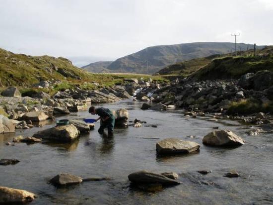 22 gold panning chrisstandish