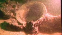 22550086-bg2.jpg