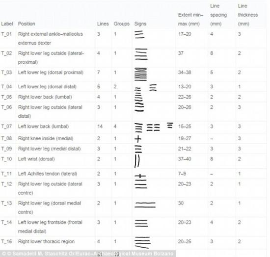2512817c00000578 2926437 this table shows the location and shape of the tattoo groups the a 5 1422264736290