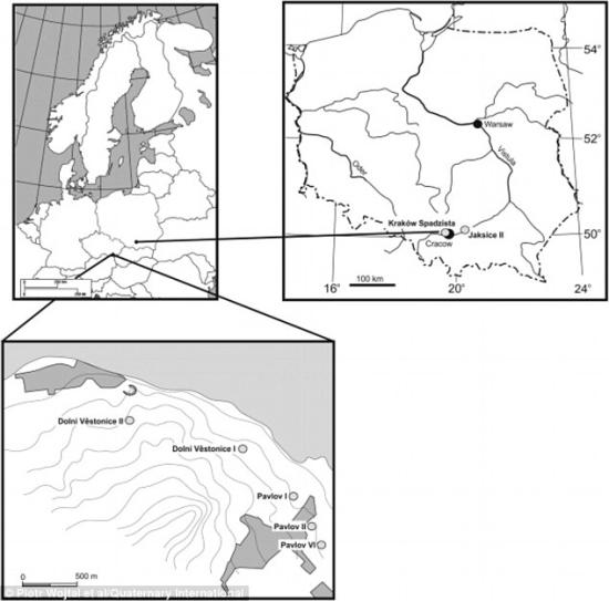 29781f9d00000578 3116633 the researchers examined bones found at several sites in the cze a 8 1433843276692