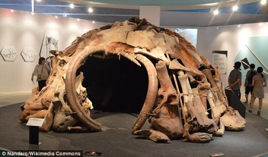 29786cf700000578 3116633 this reconstruction of a shelter built from mammoth bones is bas a 11 1433843379466