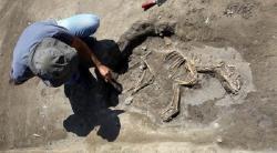 3000 year old dog skeleton found in urartu dig in van turkey 9776 720 400