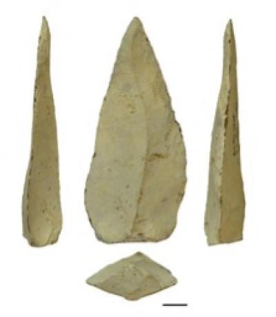 49749-web.jpg
