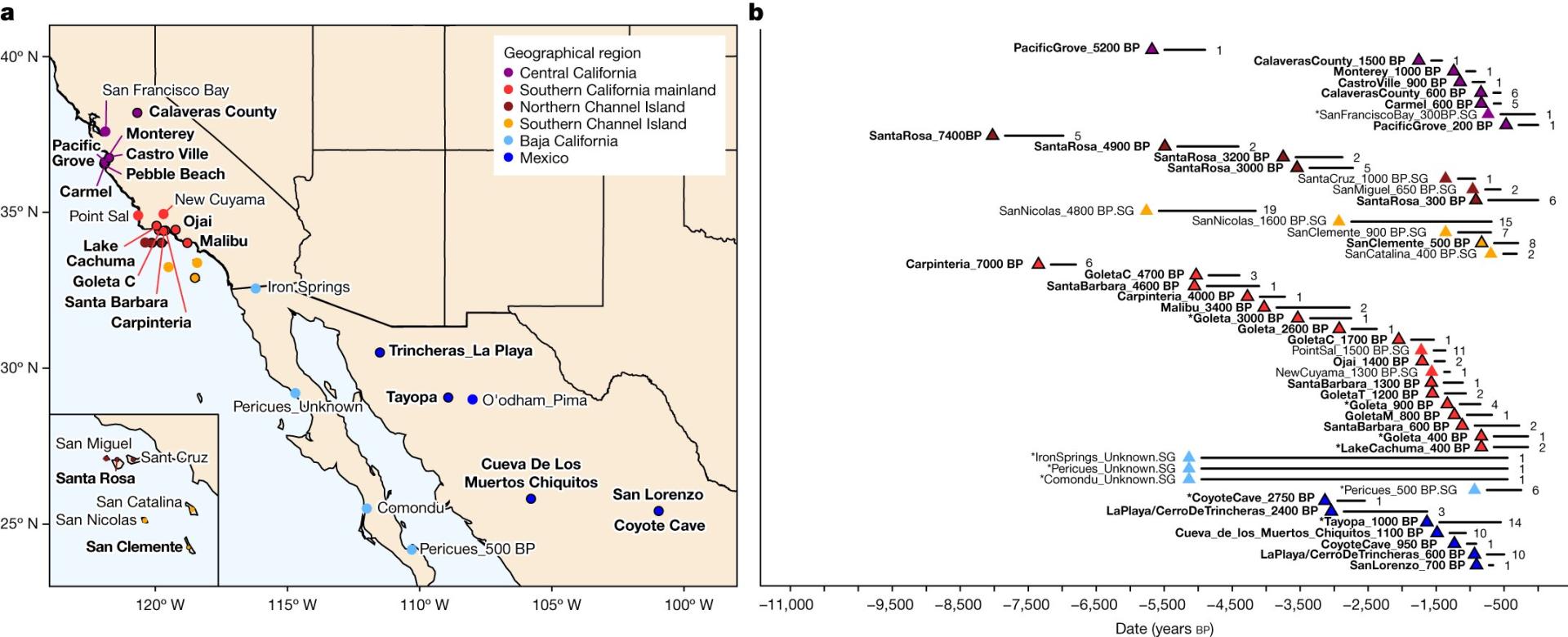 5200 years of migratio