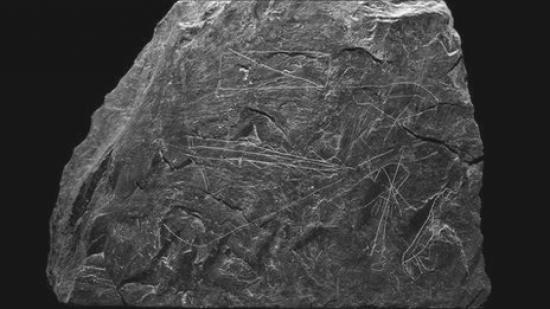 55802376-nevernslate.jpg