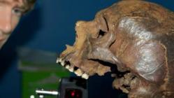 58974151-maryroseskull2.jpg