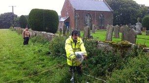 63128694-angus-survey.jpg