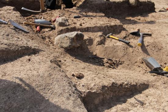 670x510 10205 vignette tool in situ being unearthed at excavation 2