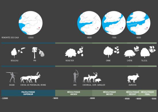 670x510-7235-vignette-3-evolution-habitat.jpg