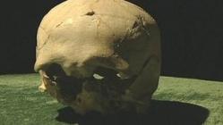 67330452-skull.jpg