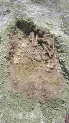 amesbury-ancient-skeletons.jpg