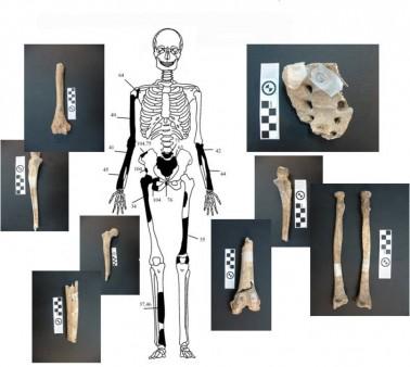 Amphipolis osta 6 en 378x338