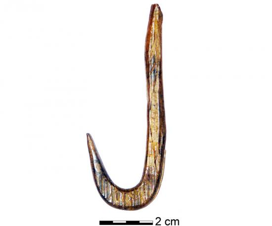 ancient-fish-hook.jpg