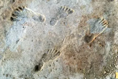 Ancient footprints credit national park service jpg