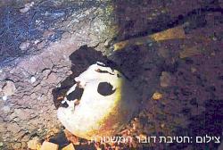 Ancient skull discovered gush etzion