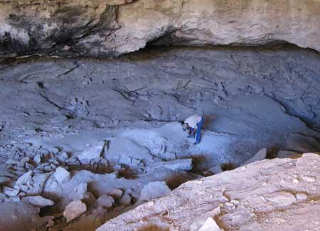 Antelope cave midden