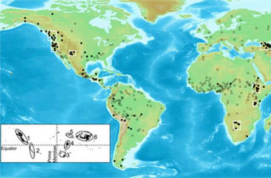 are-languages-shaped-by-geography-670x440.jpg