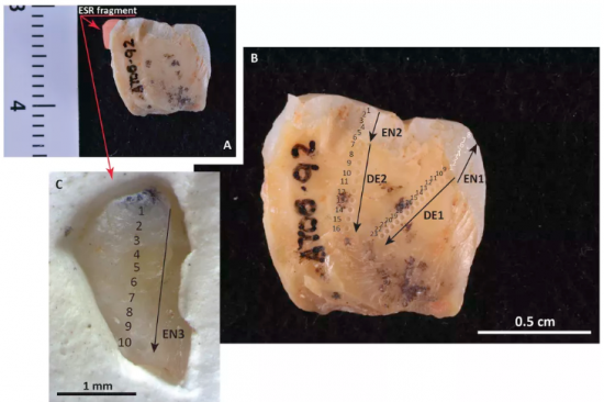 Atapuerca2