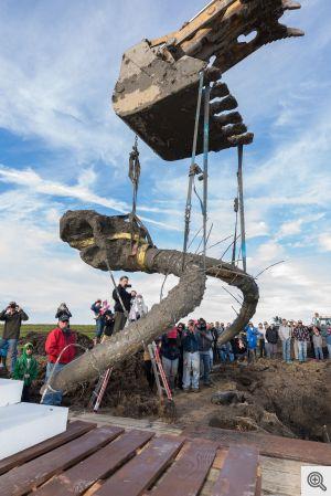 B 300 449 16777215 01 images 2015 washtenaw county mammoth find hints at role of early humans hoisting orig 20151002
