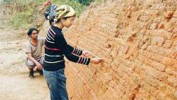 back-excavation-04.jpg