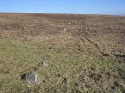 bancbryn-stone-row-looking-north-east.jpg