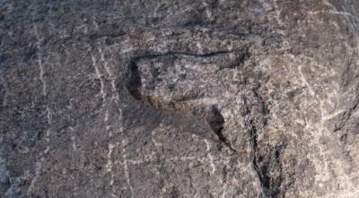 Bison herds hooves uncovered four ancient petroglyphs wanuskewin heritage park 696x385