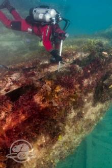 Camera examination of hms erebus