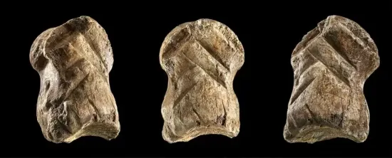 Carved deer bone neanderthal cover 1024
