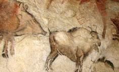 Cave painting 0