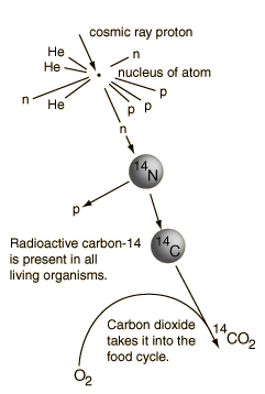 Cdate1