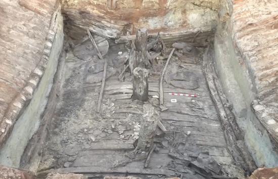 Chariot burial discovery 3