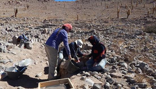 Chilean team members excavating ancient terraces 1 413deaf3 ef70 4ff1 ba27 4ee7990eeaf7 prv