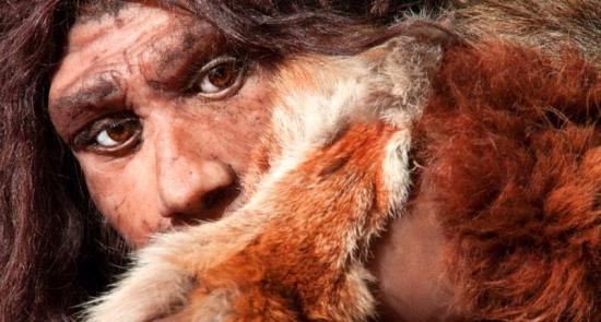 Close view of a neanderthal man shutterstock 800x430