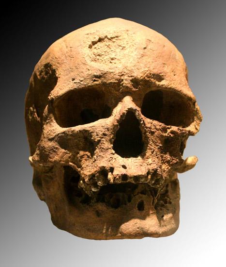 cro-magnon-skull-fossil.jpg