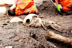 Crossrail skeletons 20150209 104003 873 1