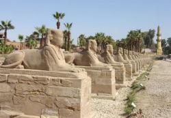 egypt-luxor-sphinx.jpg