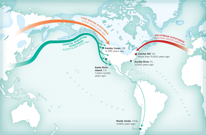 Asian migration florida