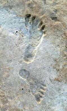 Fossil footprints prov 1