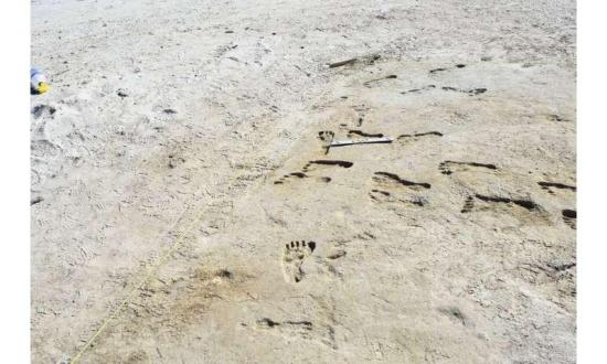 Fossil footprints prov 3