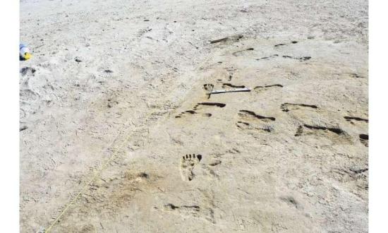 Fossil footprints prov 3