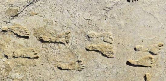 Fossil footprints prov