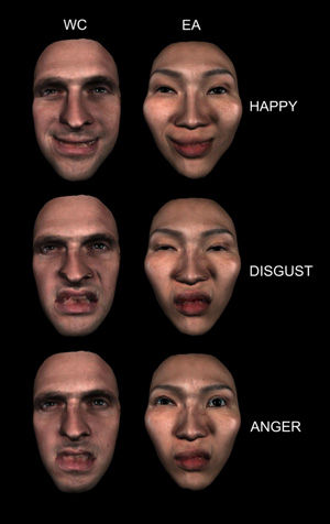 Human Facial Expressions Chart