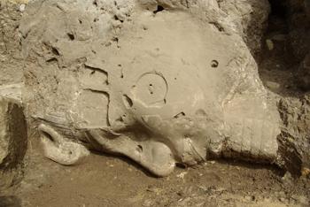 Head another statue amenhotep iii alabaster featuring preserved eyes ears nose