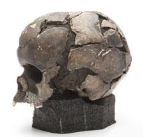 head-skull-vistegutt.jpg