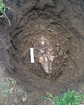 Hole ground where steel container coins was found